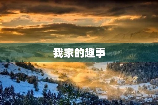 我家的趣事 我家的趣事