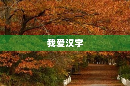 我爱汉字