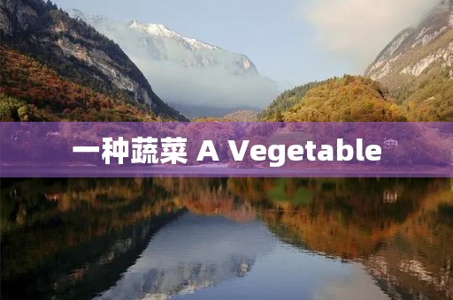 一种蔬菜 A Vegetable 一种蔬菜 A Vegetable