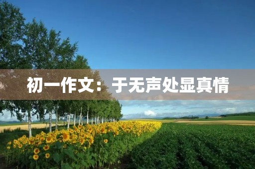 初一作文：于无声处显真情
