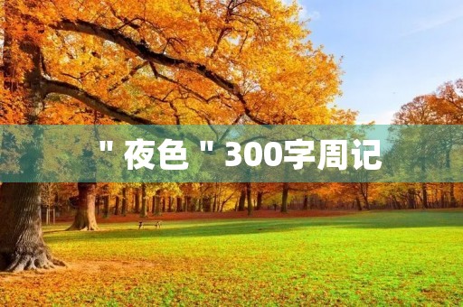 "夜色"300字周记 "夜色"300字周记