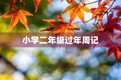 小学二年级过年周记