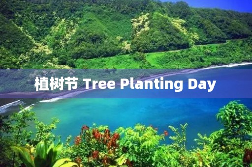 植树节 Tree Planting Day 植树节 Tree Planting Day