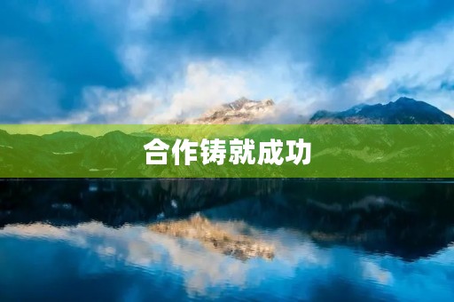 合作铸就成功 合作铸就成功