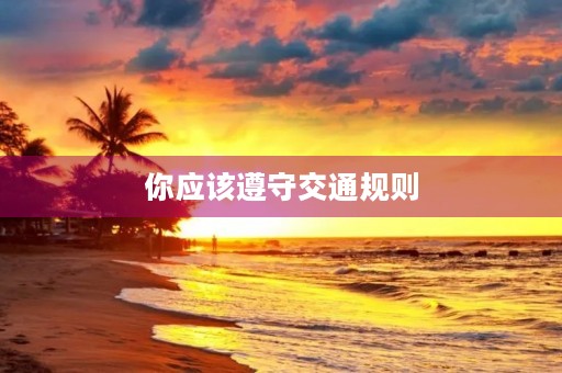 你应该遵守交通规则