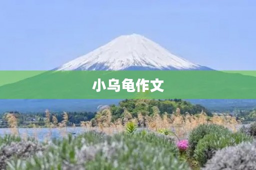 小乌龟作文 小乌龟作文