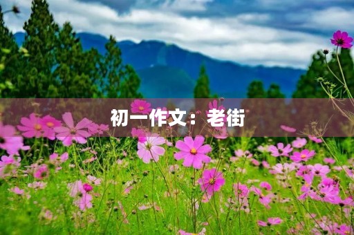 初一作文：老街