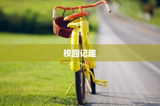校园记趣 校园记趣