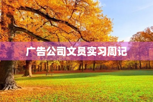 广告公司文员实习周记 广告公司文员实习周记