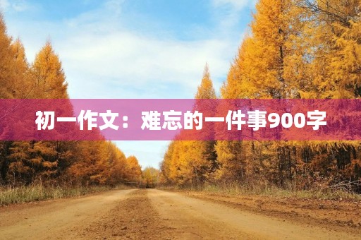 初一作文：难忘的一件事900字