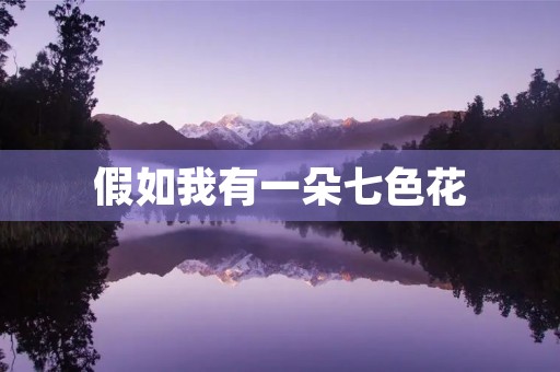 假如我有一朵七色花 假如我有一朵七色花