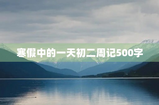 寒假中的一天初二周记500字