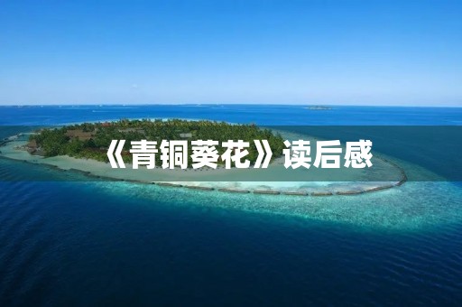 《青铜葵花》读后感 《青铜葵花》读后感