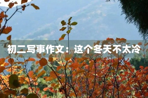 初二写事作文:这个冬天不太冷 初二写事作文:这个冬天不太冷