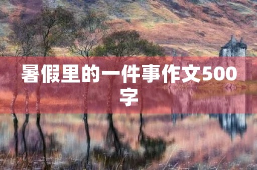 暑假里的一件事作文500字