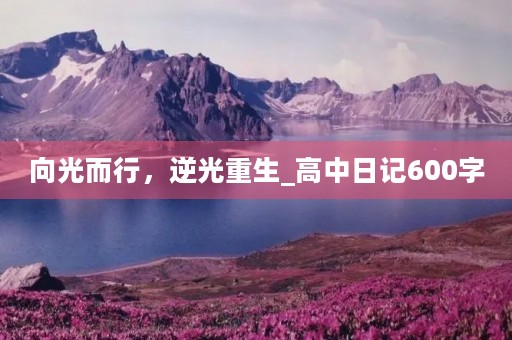 向光而行,逆光重生_高中日记600字 向光而行,逆光重生_高中日记600字