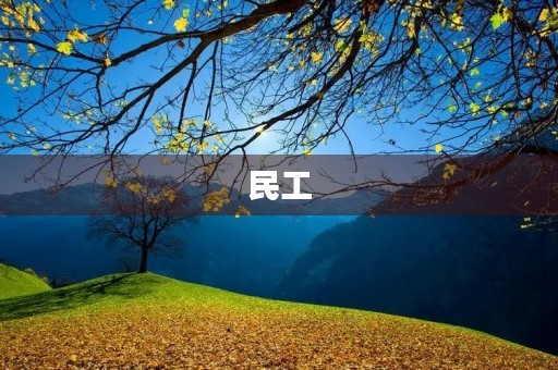 民工 民工