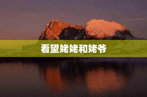 看望姥姥和姥爷 看望姥姥和姥爷