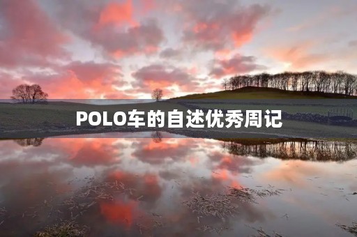 POLO车的自述优秀周记 POLO车的自述优秀周记