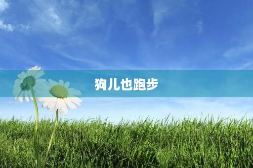 狗儿也跑步