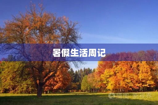 暑假生活周记 暑假生活周记