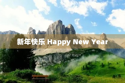 新年快乐 Happy New Year