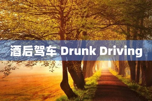 酒后驾车 Drunk Driving 酒后驾车 Drunk Driving