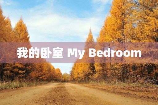 我的卧室 My Bedroom 我的卧室 My Bedroom