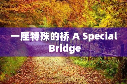 一座特殊的桥 A Special Bridge