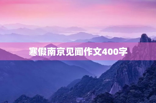寒假南京见闻作文400字