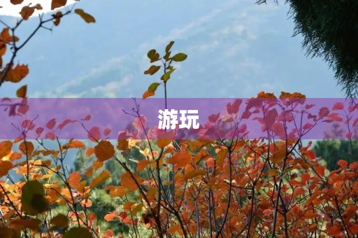 游玩 游玩