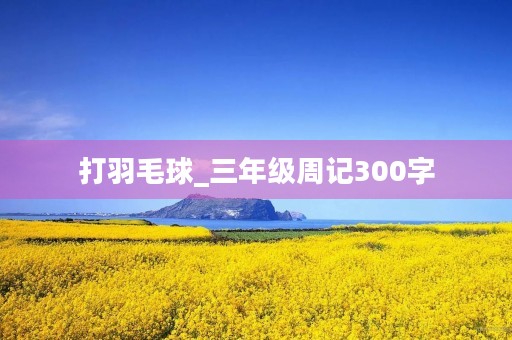 打羽毛球_三年级周记300字 打羽毛球_三年级周记300字