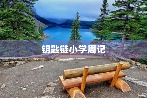 钥匙链小学周记 钥匙链小学周记