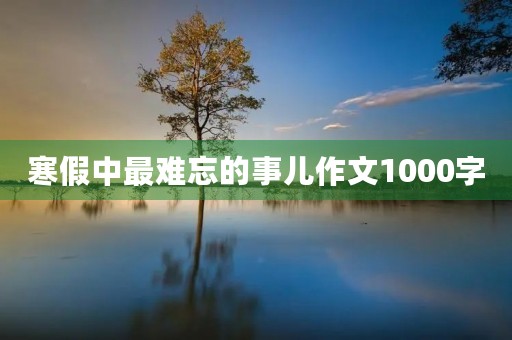 寒假中最难忘的事儿作文1000字