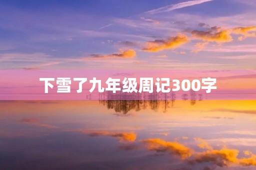 下雪了九年级周记300字 下雪了九年级周记300字