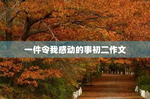 一件令我感动的事初二作文