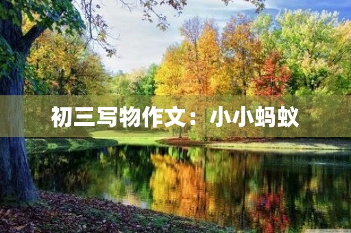 初三写物作文:小小蚂蚁 初三写物作文:小小蚂蚁