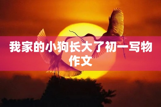 我家的小狗长大了初一写物作文 我家的小狗长大了初一写物作文