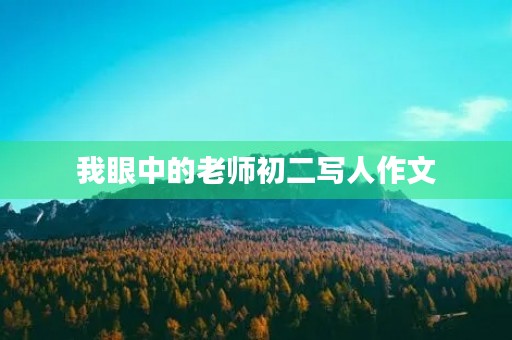 我眼中的老师初二写人作文 我眼中的老师初二写人作文