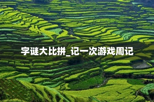字谜大比拼_记一次游戏周记