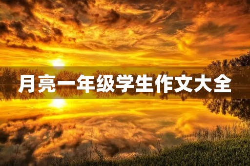 月亮一年级学生作文大全