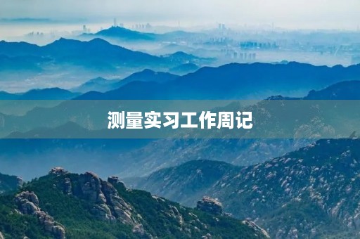 测量实习工作周记