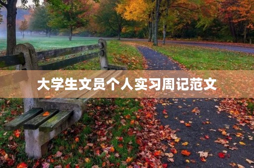 大学生文员个人实习周记范文 大学生文员个人实习周记范文