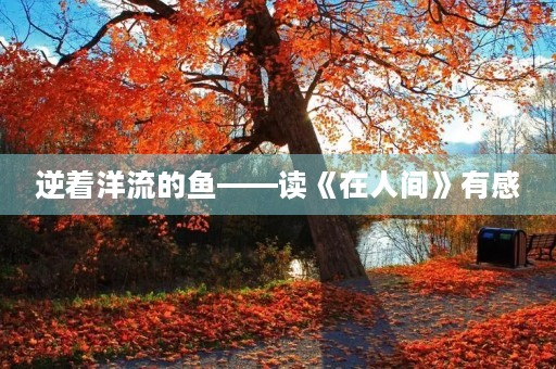 逆着洋流的鱼——读《在人间》有感 逆着洋流的鱼——读《在人间》有感