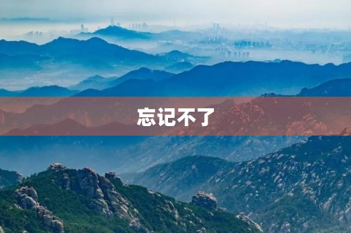 忘记不了 忘记不了