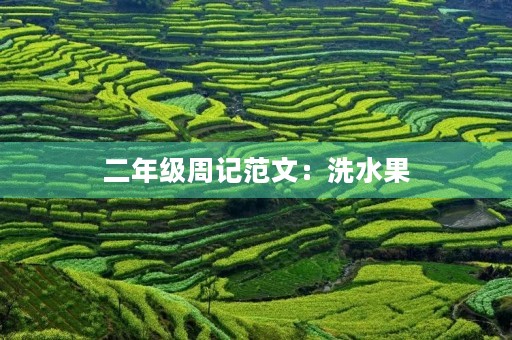 二年级周记范文：洗水果