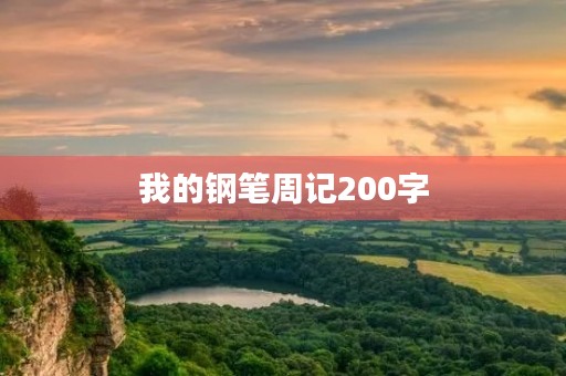 我的钢笔周记200字 我的钢笔周记200字