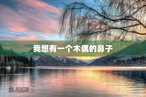 我想有一个木偶的鼻子 我想有一个木偶的鼻子
