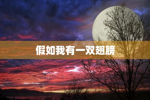 假如我有一双翅膀 假如我有一双翅膀