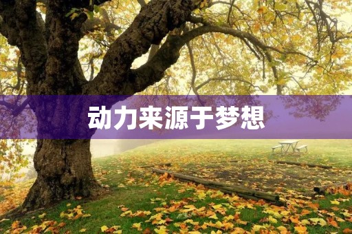 动力来源于梦想 动力来源于梦想